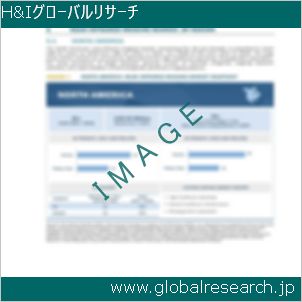 グローバルリサーチ調査レポートのイメージ